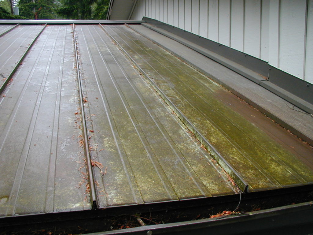 Maintenance needed on Metal Roofing