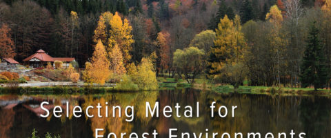 Banner Image for Metal Roofing in Forest Environments