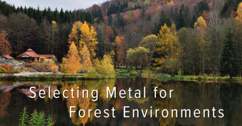 Banner Image for Metal Roofing in Forest Environments