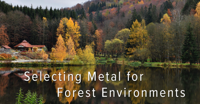 Metal Roofing Colors for Forest Environments