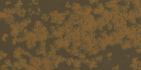 Natural Rust